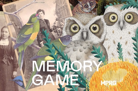 memory game Gracia.jpg