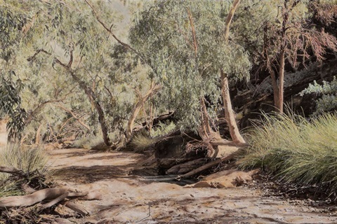 cumpston_nici_Old Mutawintji Gorge_I 50 x 126cm.jpg