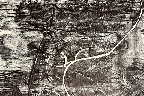 Dom White image_public program(002).jpeg.png