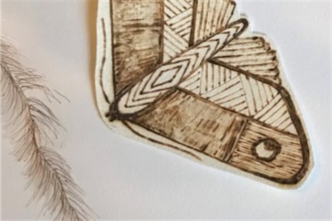 Sammy Trist moth  size .jpg