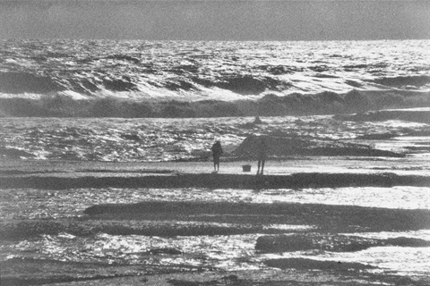 Melanie-Cobham-Monmar-2024-Analogue-Photograph-developed-with-local-seaweed.jpeg