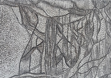 Jones Jess, Disorder and Kayos